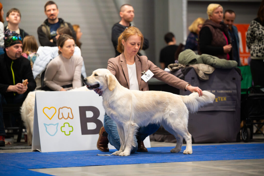 For Pets Cup 2025